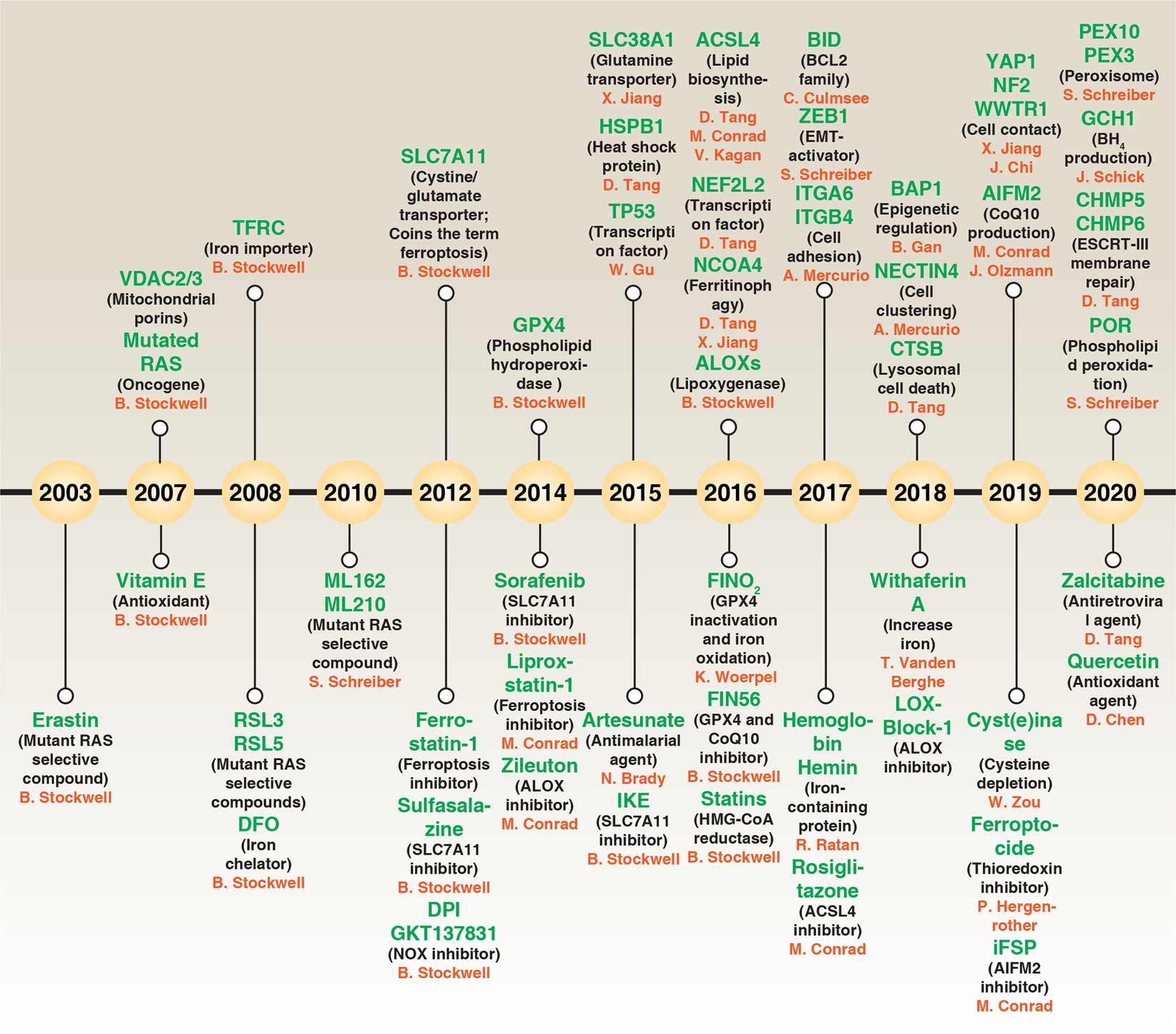 Ferroptosis Molecular Mechanisms And Health Implications Cell Research