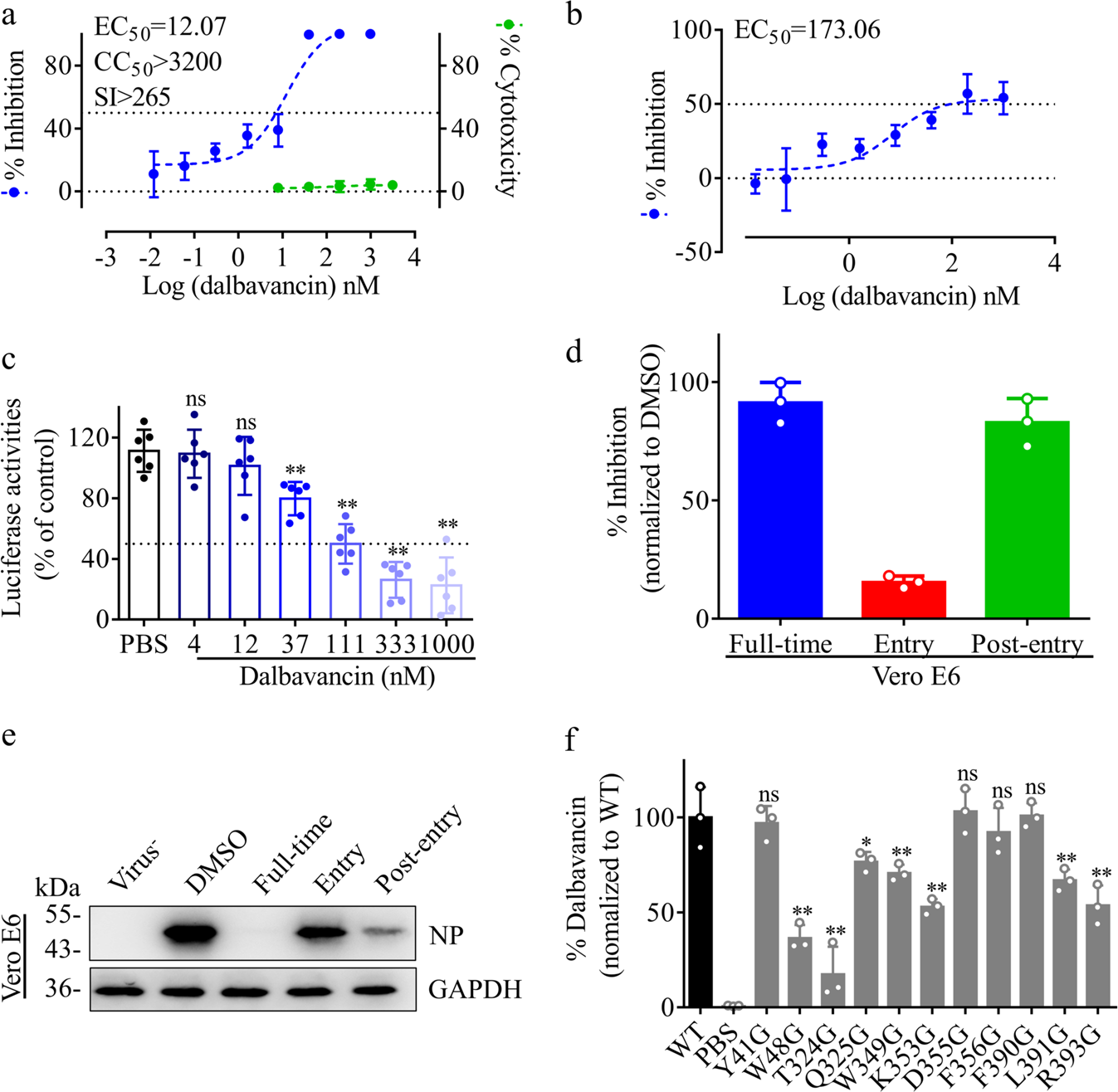 Fig. 3: Antiviral activity of dalbavancin against SARS-CoV-2 in vitro.