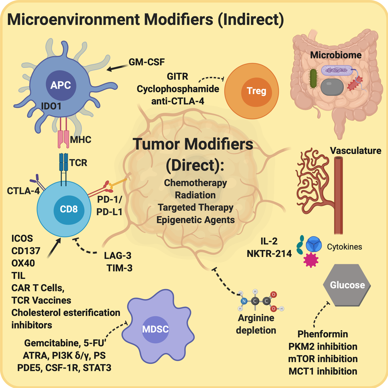 immunotherapy for prostate cancer 2020)