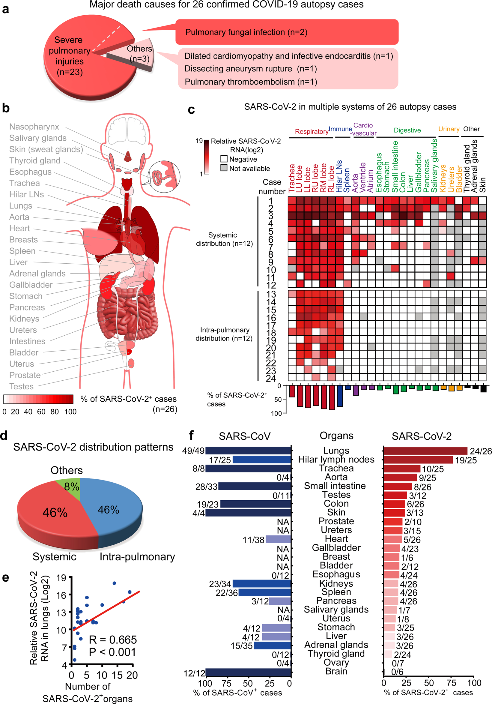A cohort autopsy study defines COVID-19 systemic pathogenesis | Cell  Research