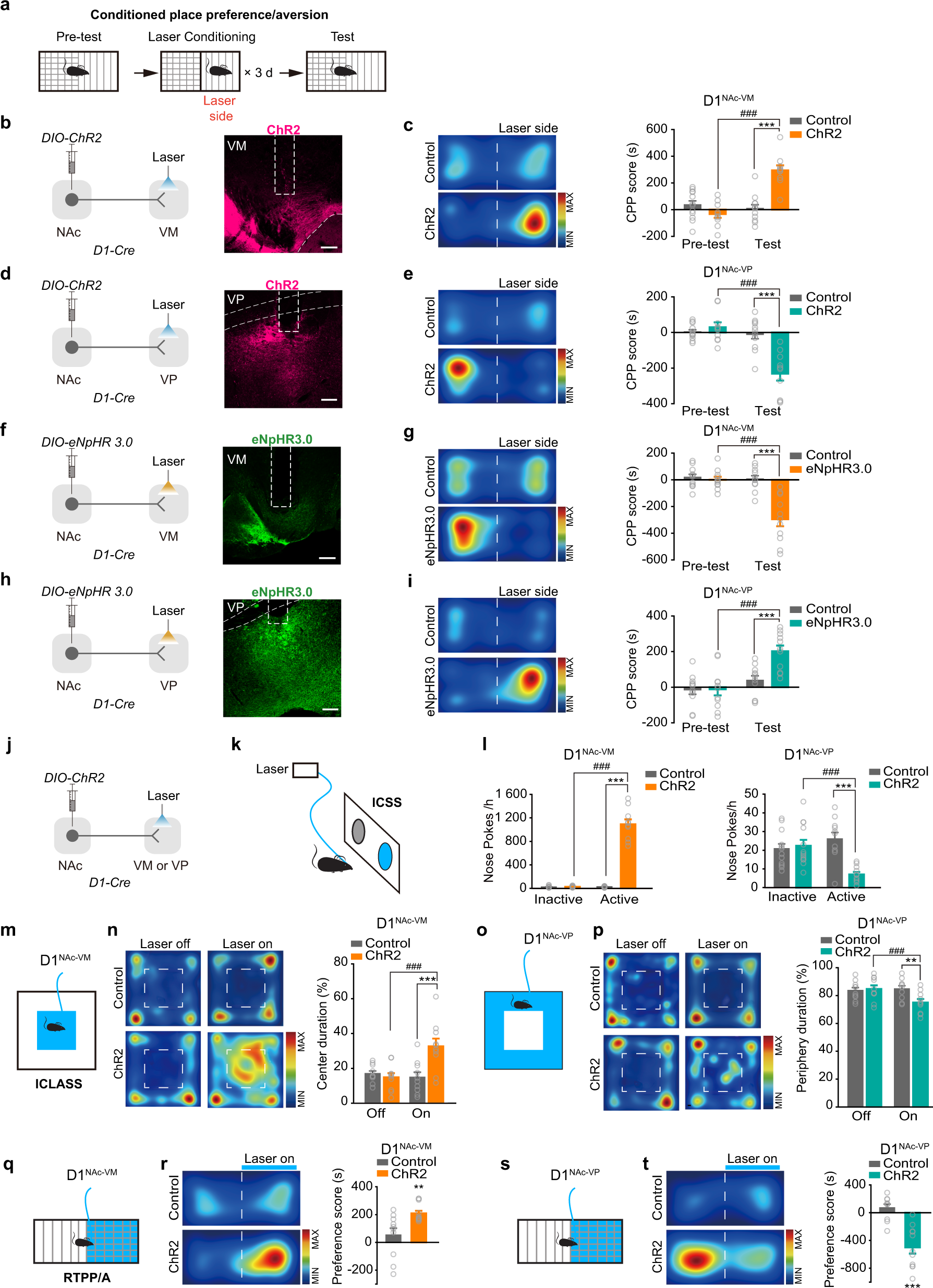 Fig. 2: Activation of D1NAc-VP or D1NAc-VM projections drives opposing emotional responses.