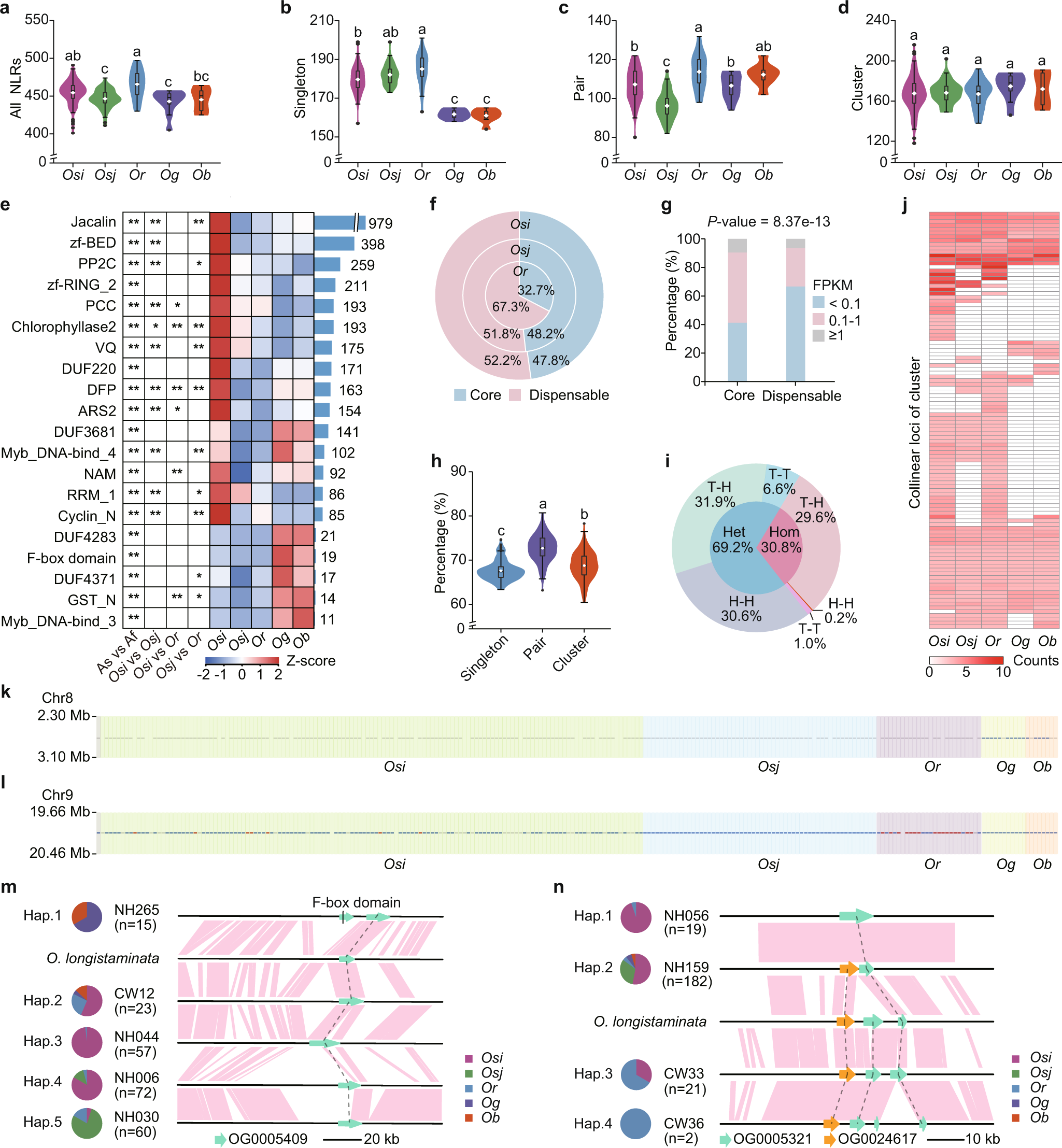 Fig. 3: Characterization of NLRs in super pan-genome.