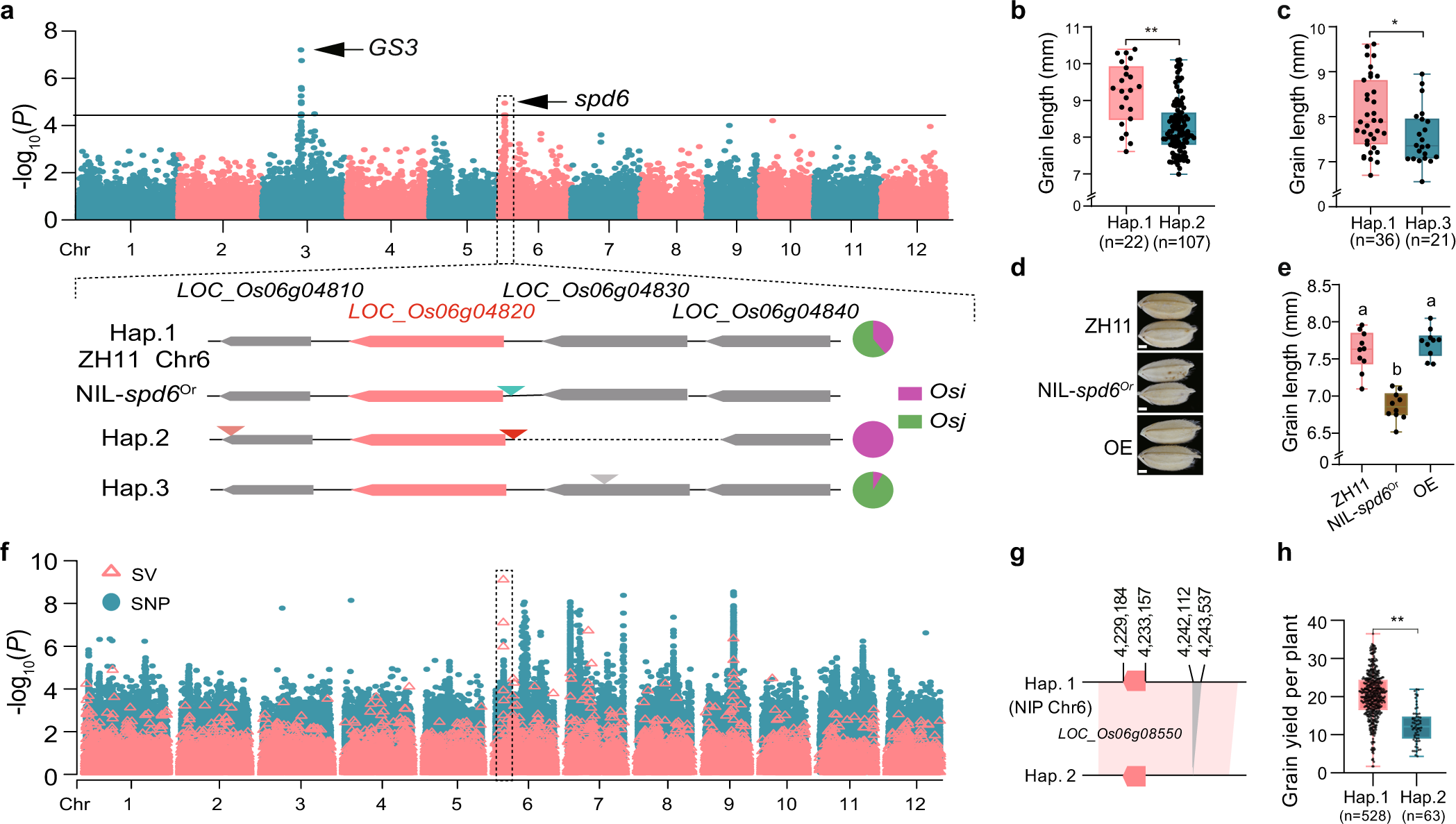 Fig. 5: GWAS analysis using SVs.