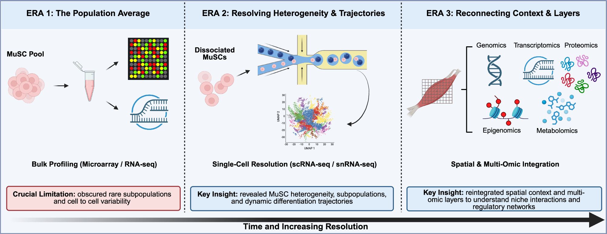 Fig. 1: The evolution of transcriptomic resolution reveals MuSC heterogeneity and niche context during aging.