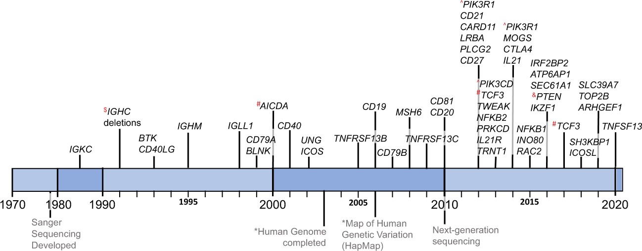 Nfkb2 deficiency and its impact on plasma cells and immunoglobulin