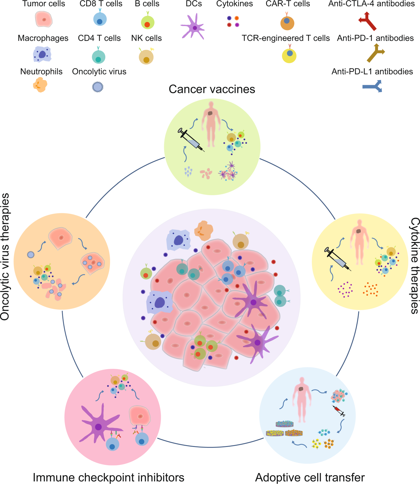 Study reveals insights into how cancer cells evade treatment