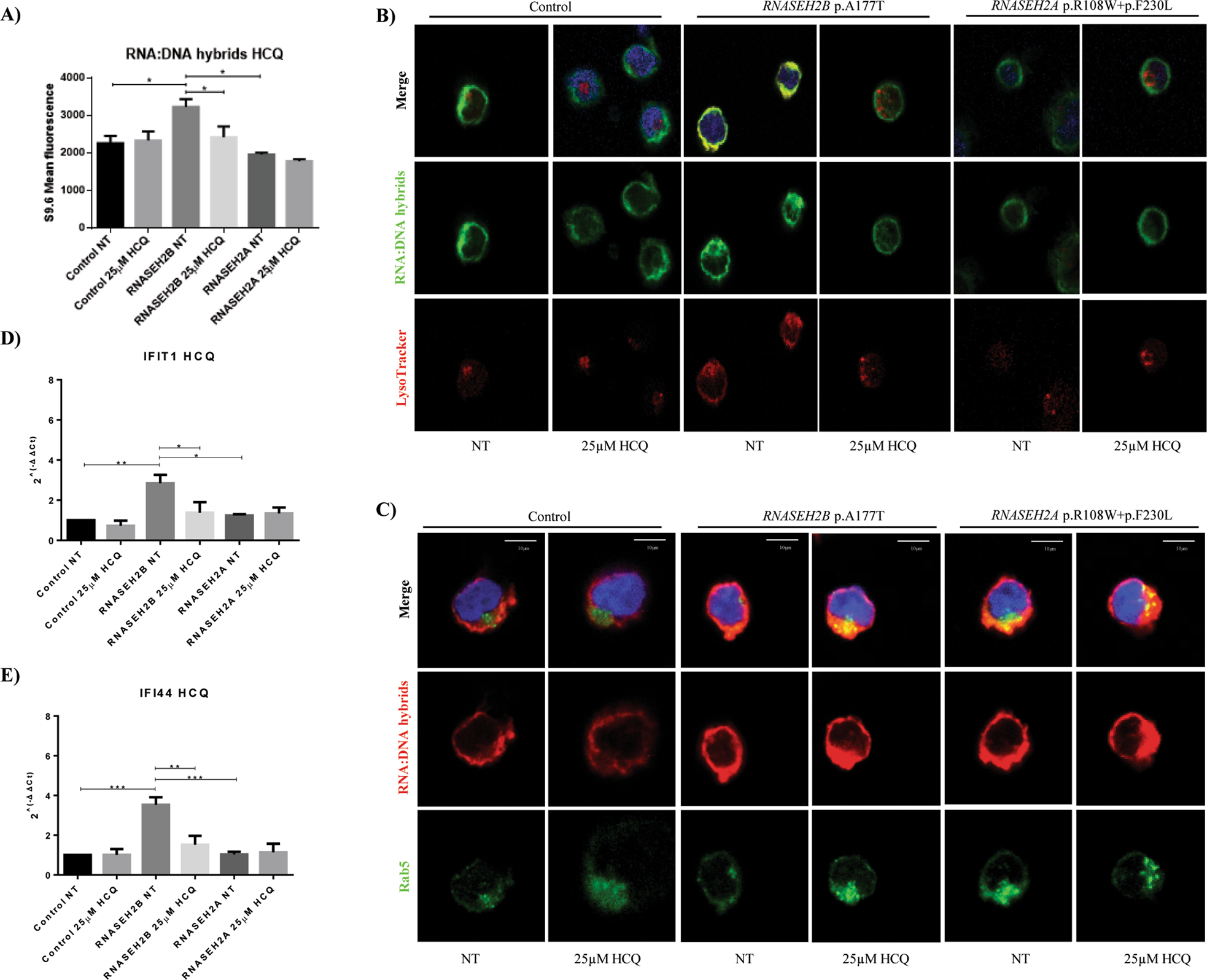 Hydroxychloroquine modulates immunological pathways activated by RNA:DNA  hybrids in Aicardi–Goutières syndrome patients carrying RNASEH2 mutations |  Cellular & Molecular Immunology