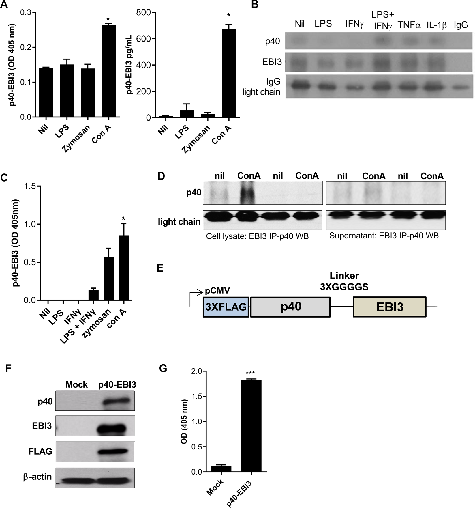 Recombinant Mouse IL-4 Protein 404-ML-010: R&D Systems