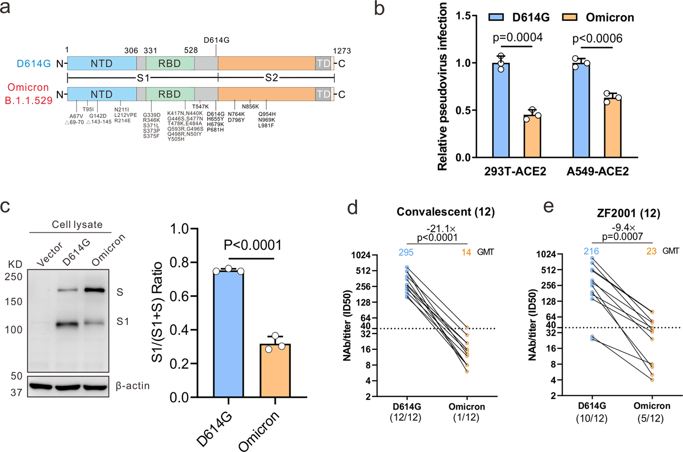 SARS-CoV-2 omicron variant may evade host immune responses