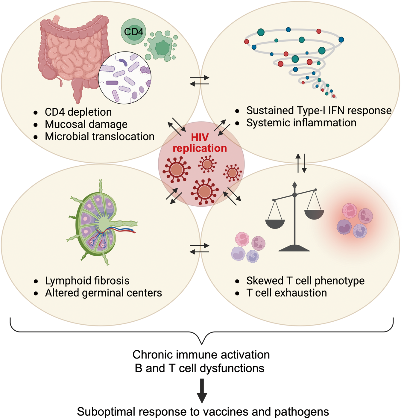 Defining total-body AIDS-virus burden with implications for