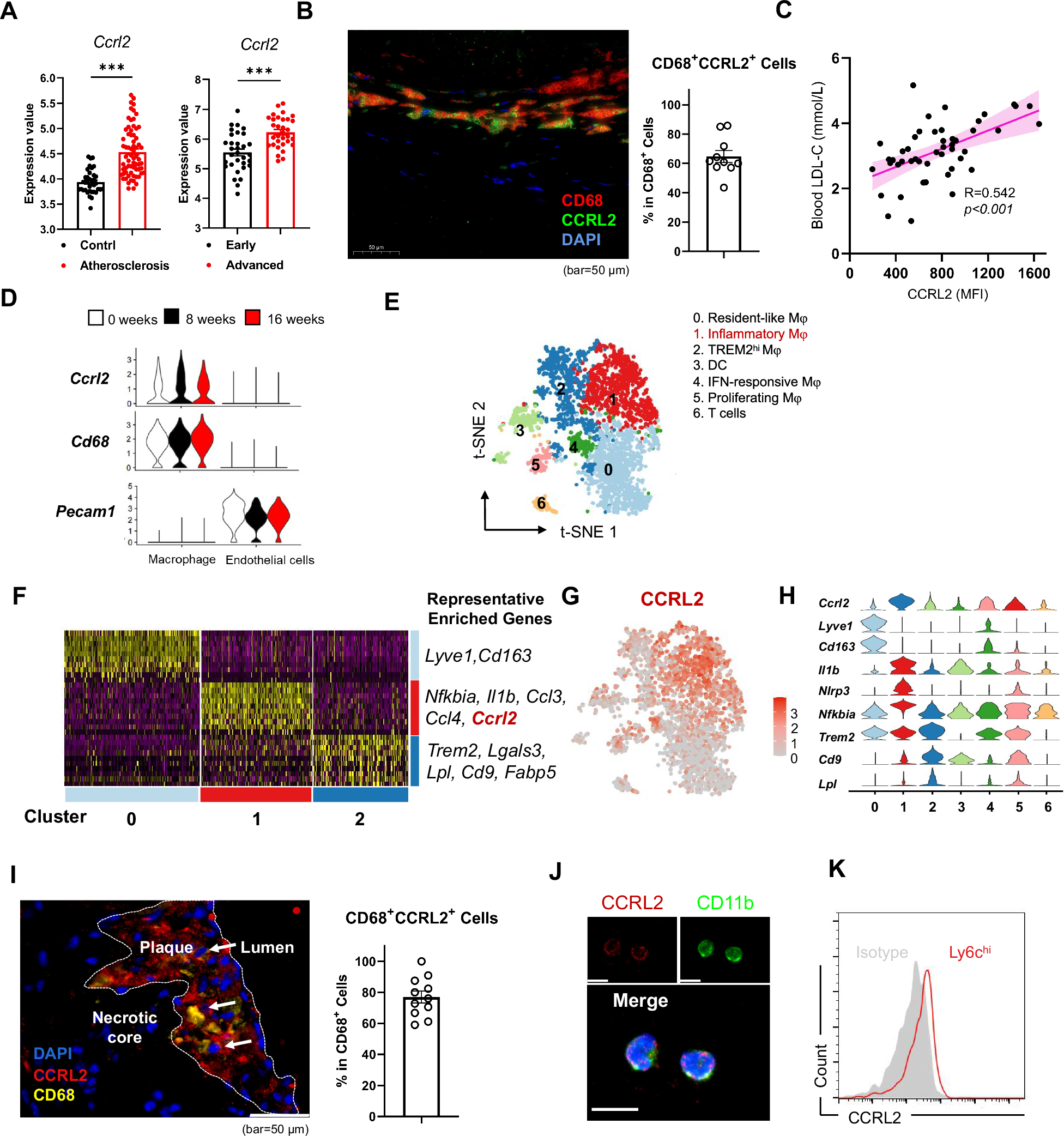 bloodwork markers for cjc-1295 ipamorelin igf-1 lr3 enclomiphene cycle monitoring Are you trying to boost Macrophage CCRL2 promotes NLRP3 inflammasome