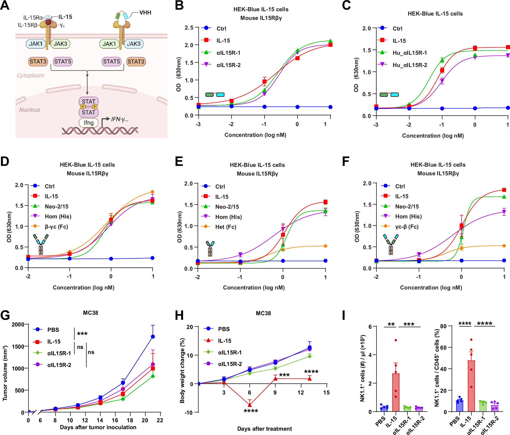 αTIGIT-guided IL-15 mimetics drive potent and safe antitumor immunity by restoring tumor-infiltrating T cells