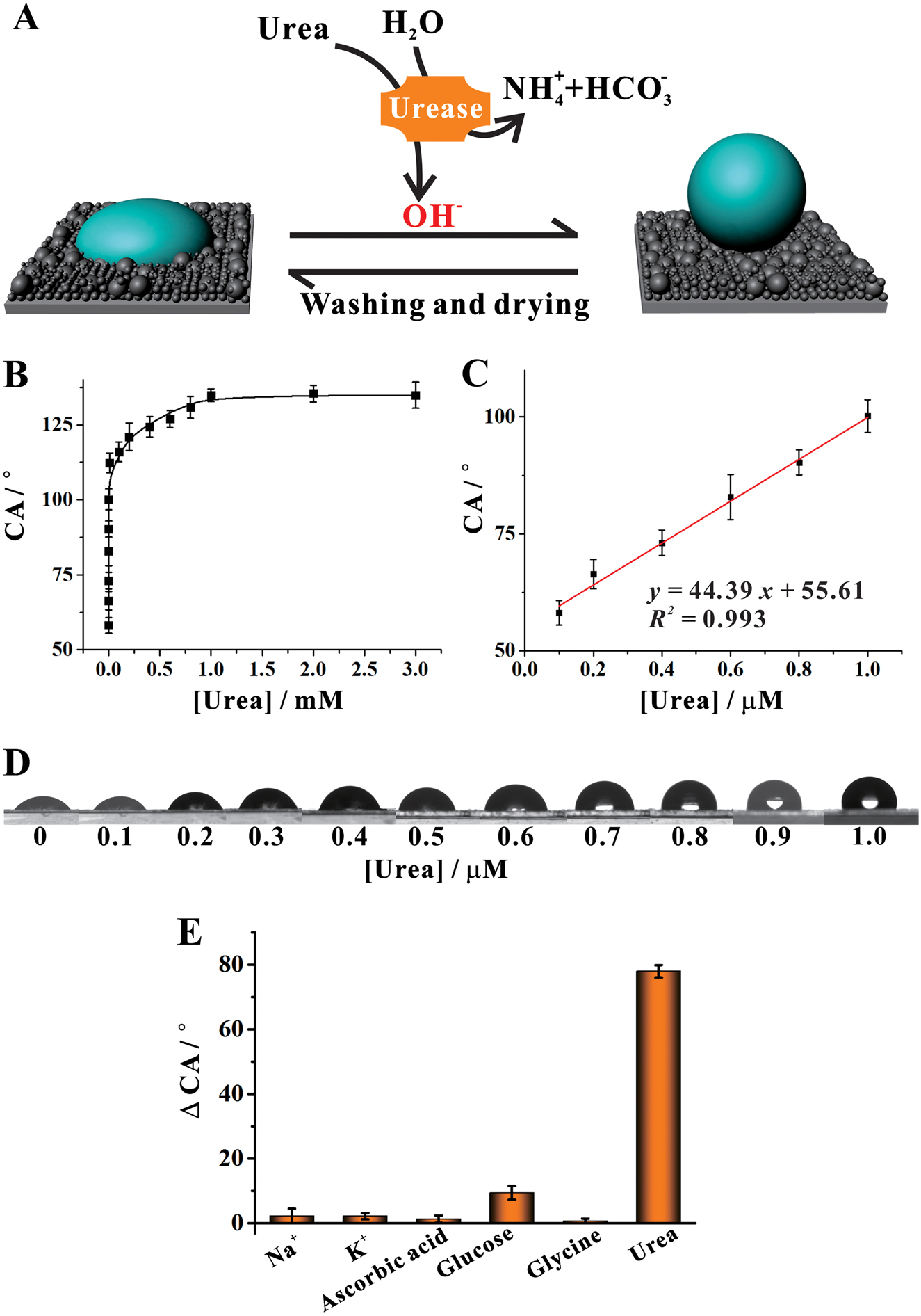 Fig. 3: Illustration of urea detection by the pH-responsive superwetting surface.