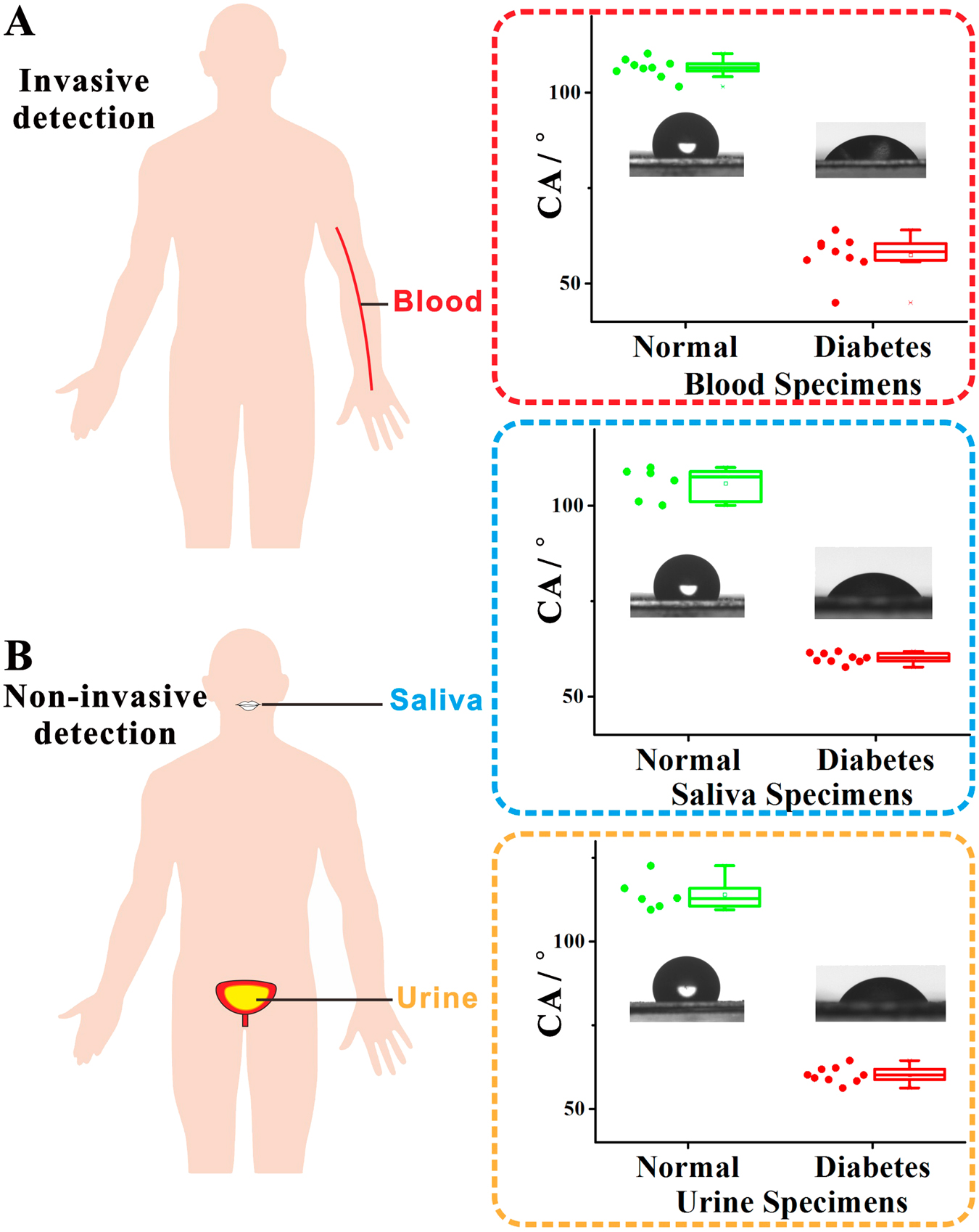 Fig. 5: Visual quantitative detection of glucose in practical settings by the pH-responsive superwetting surface.