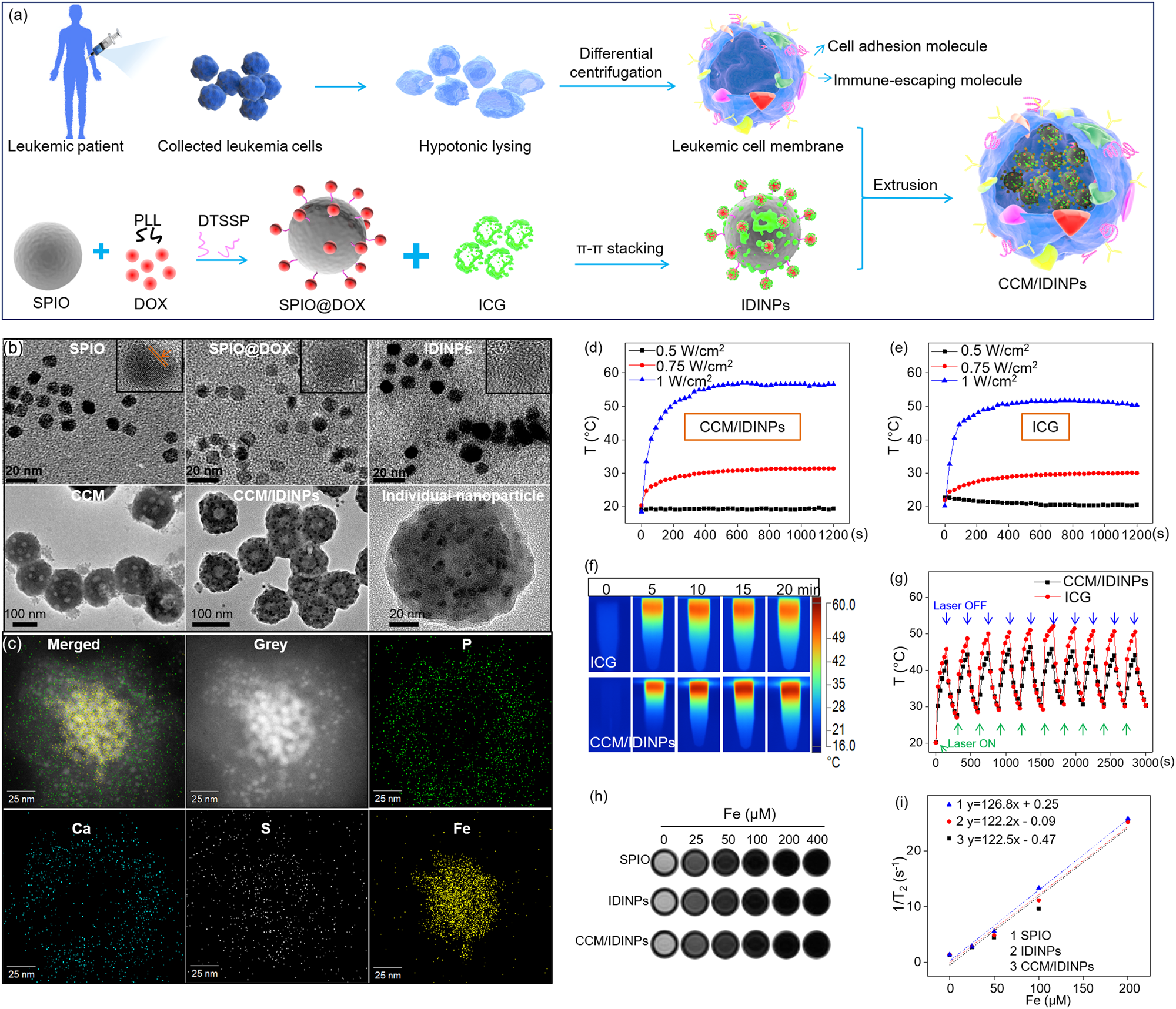 Fig. 1: Fabrication, photothermal effect, and magnetic property of CCM/IDINPs.