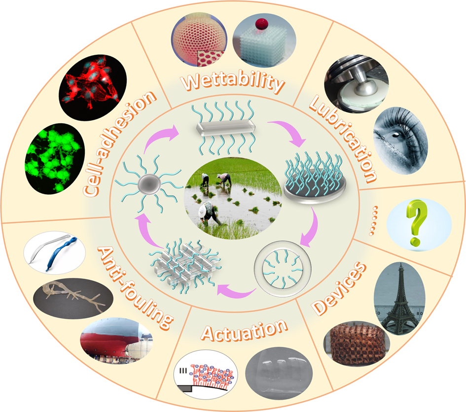Brushing Up Functional Materials Npg Asia Materials