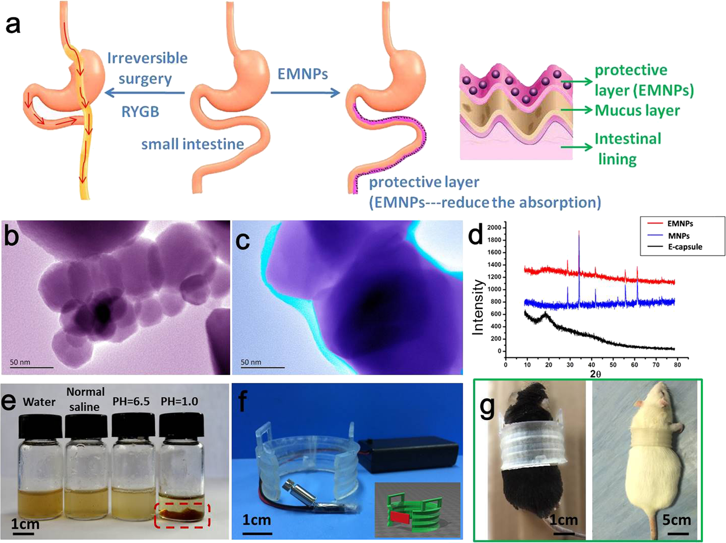 Fig. 1: The characterization of EMNPs’ structure.