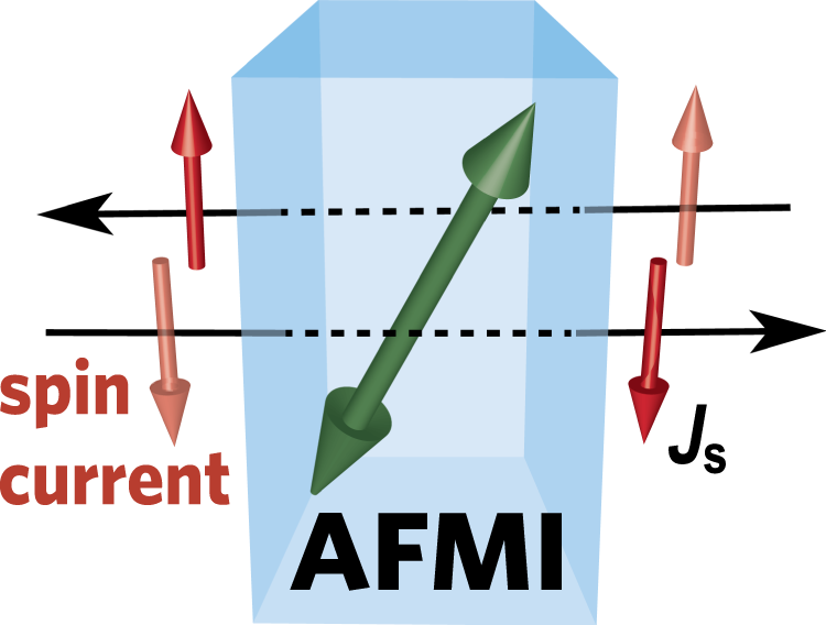Spin transport in antiferromagnetic insulators: progress and challenges |  NPG Asia Materials