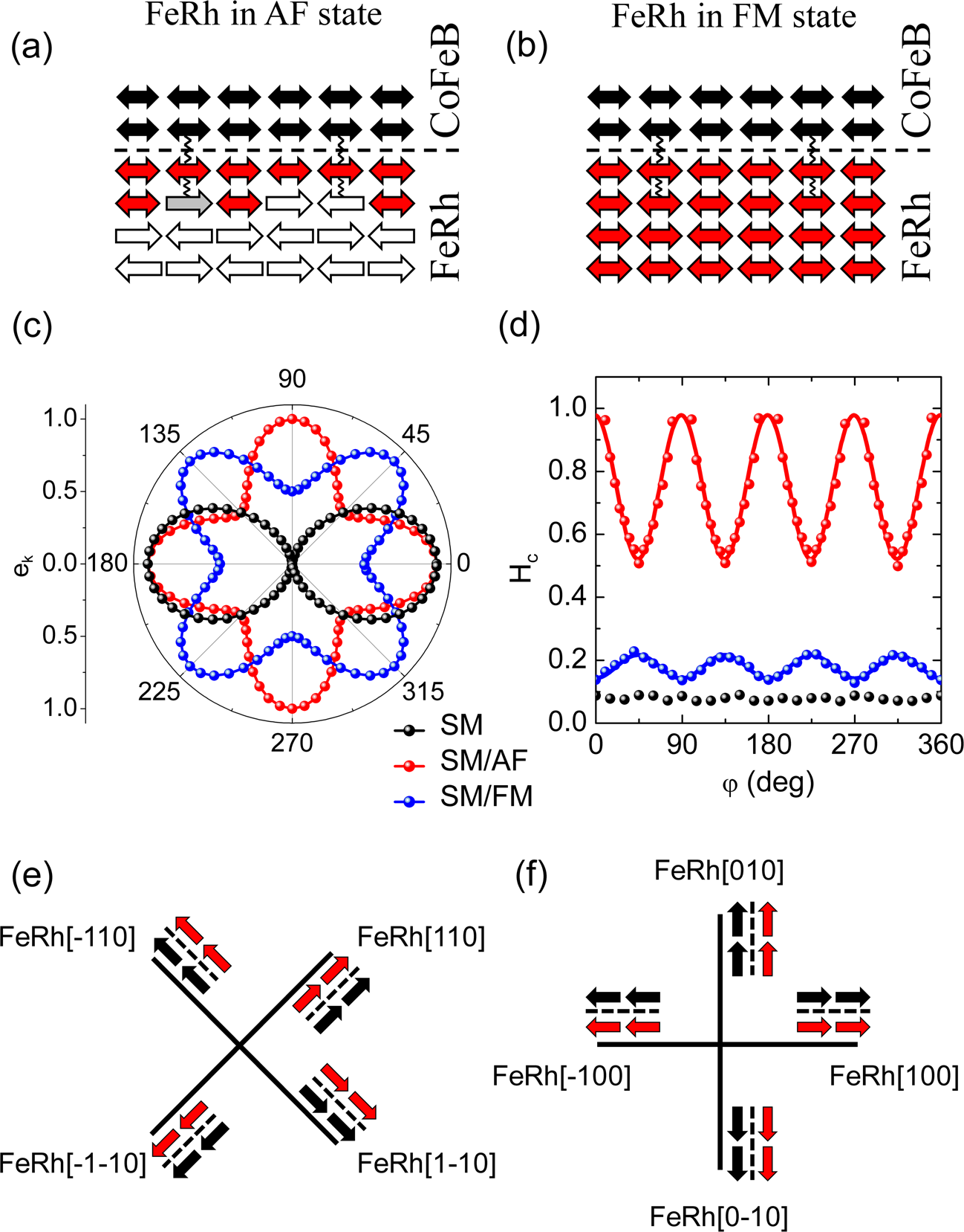 Fig. 5: Exchange coupling between CoFeB and FeRh moments across the interface.