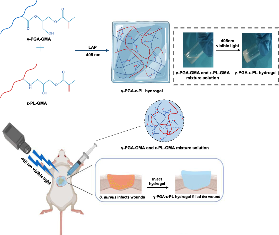 Hydrogels that trap water molecules inside... 