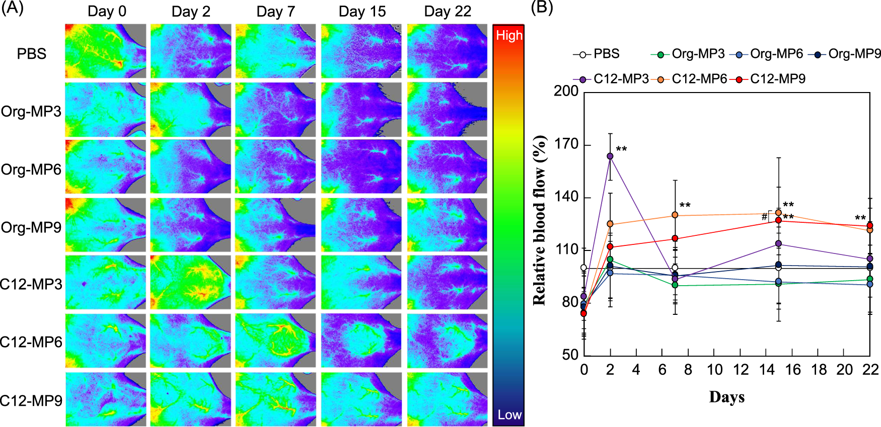 Fig. 6: In vivo quantitative analysis of angiogensis by LDPI.