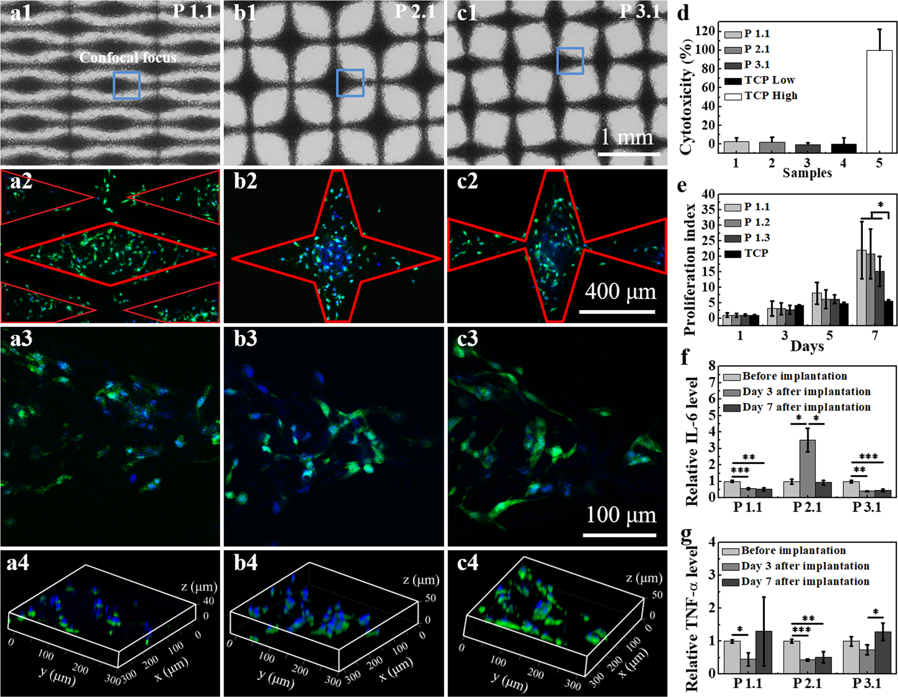 Fig. 3: Cellular patterns and their in vivo biocompatibility.