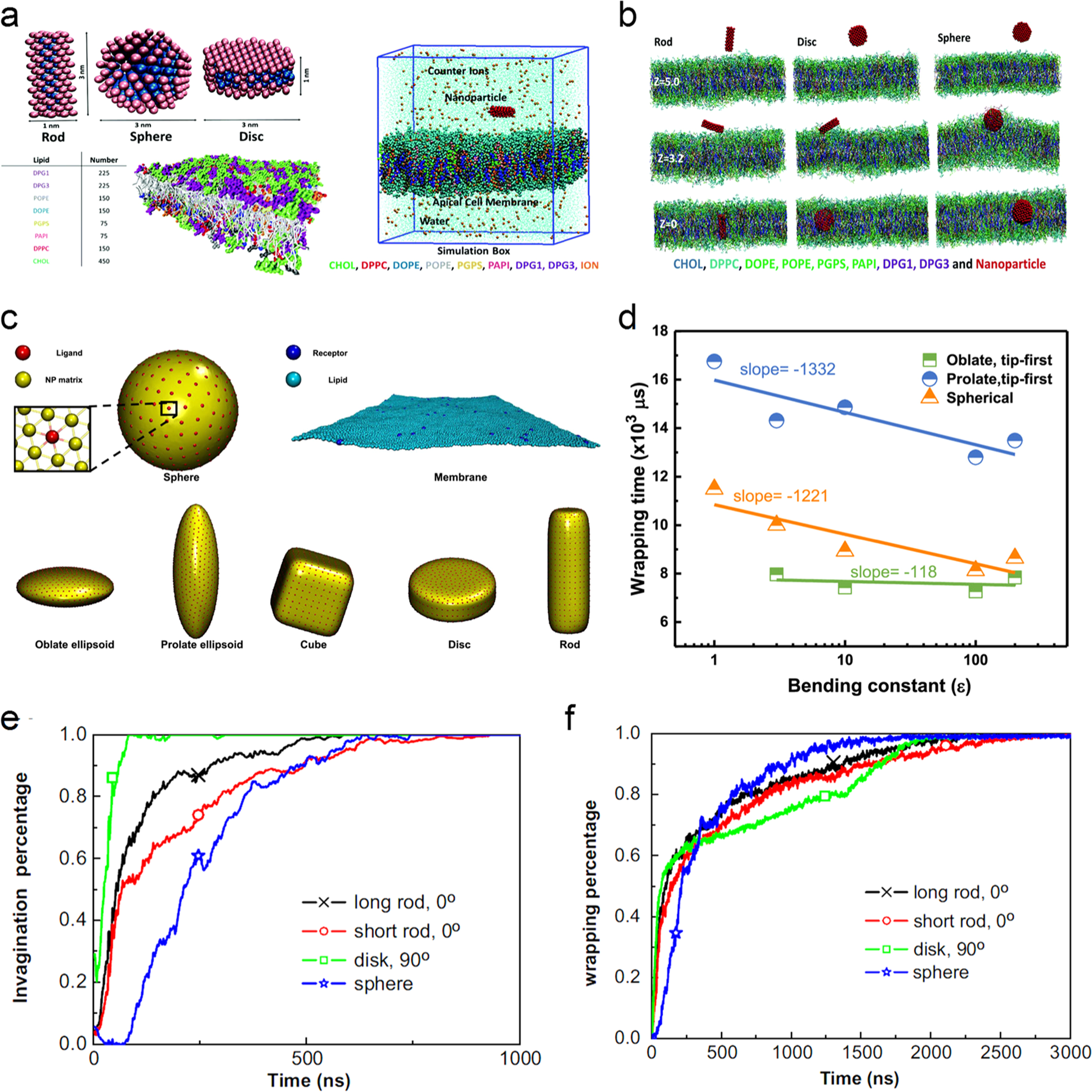 Fig. 4: Effect of NP shape on the nano-bio interface interactions between NPs and the cell membrane.