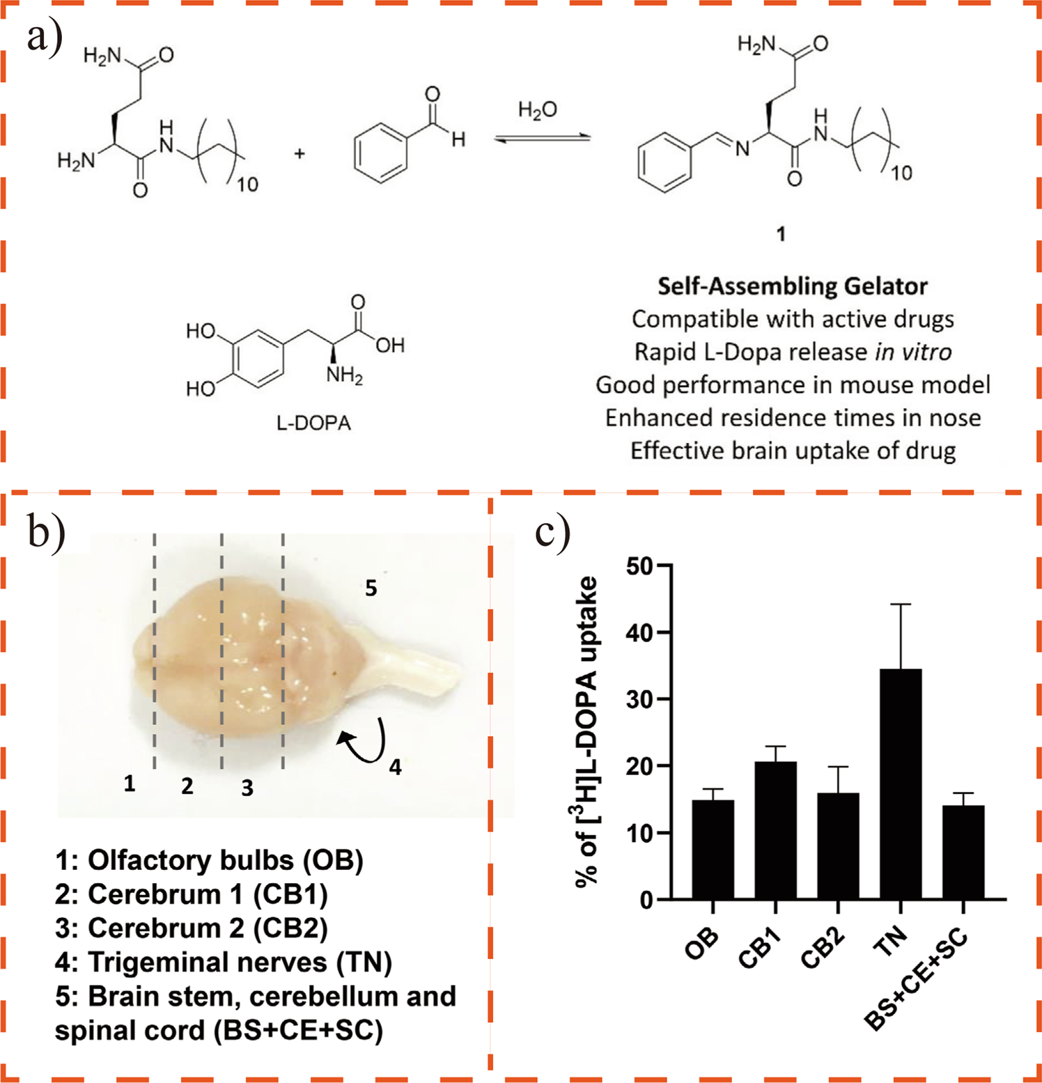 Fig. 5: Self-assembling hydrogels delivering L-dopa for the treatment of PD.
