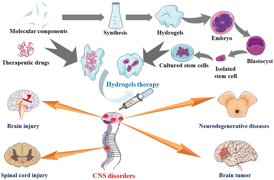 Recent trends in the development of hydrogel therapeutics for the treatment  of central nervous system disorders