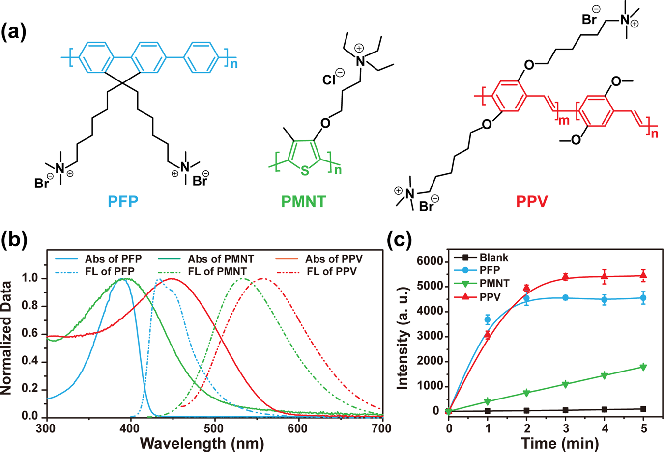 Fig. 1: Photophysical properties and ROS generation abilities of CPs.