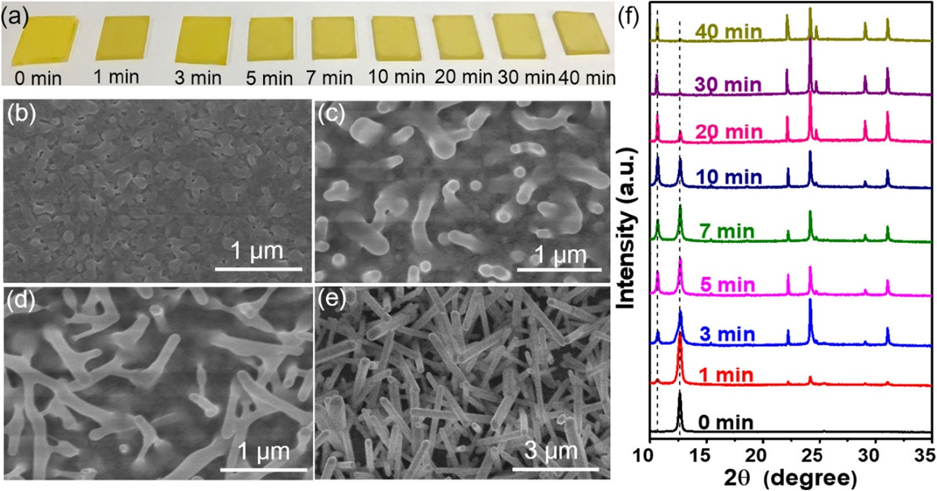 Fig. 10: Example of 1D sulfur-based (CH3)3SPbI3 NRs.