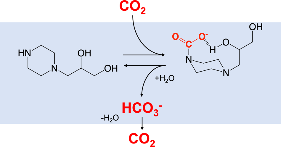 Piperazine Immobilized Polymeric Membranes For Co2 Capture Mechanism Of Preferential Co2 Permeation Polymer Journal