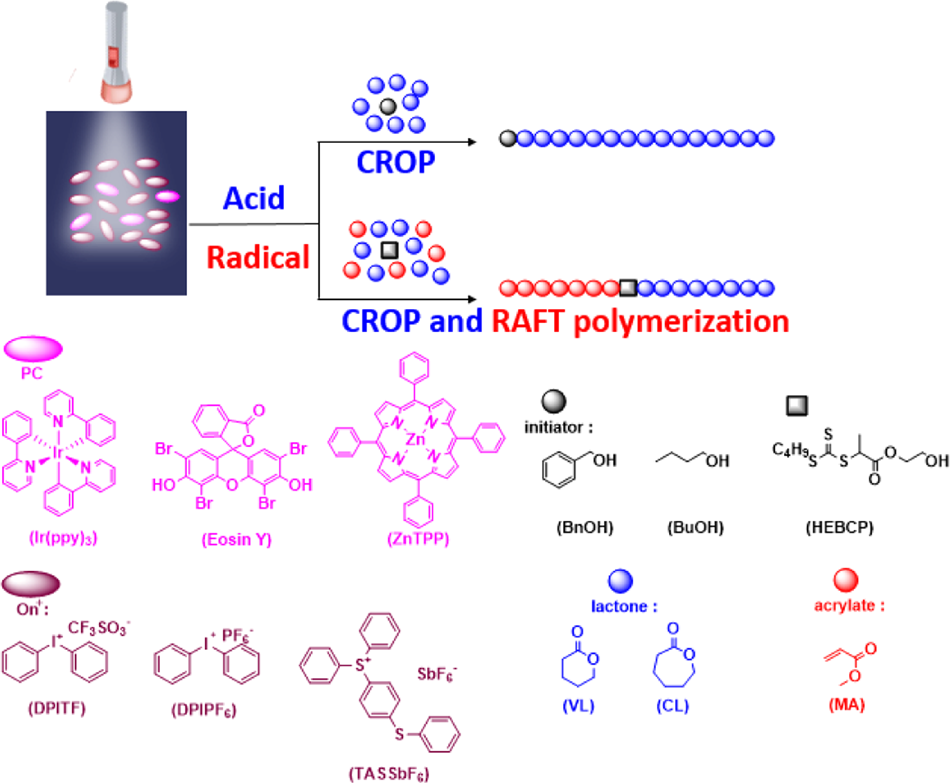 Visible Light Induced Living Controlled Cationic Ring Opening Polymerization Of Lactones Polymer Journal