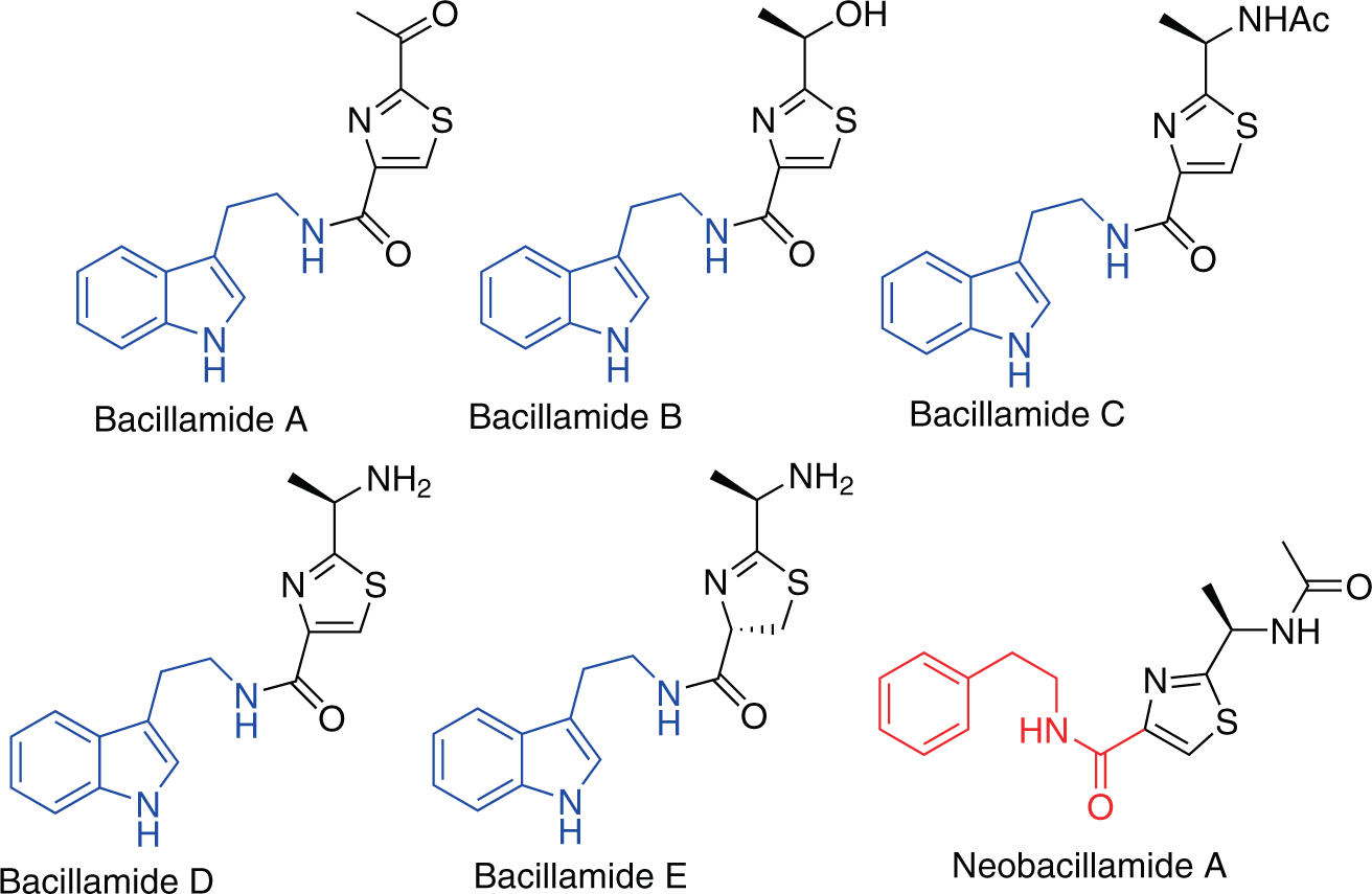 Synthesis of the indeno[1,2- b ]indole core of janthitrem B - Organic &  Biomolecular Chemistry (RSC Publishing) DOI:10.1039/D3OB01566A