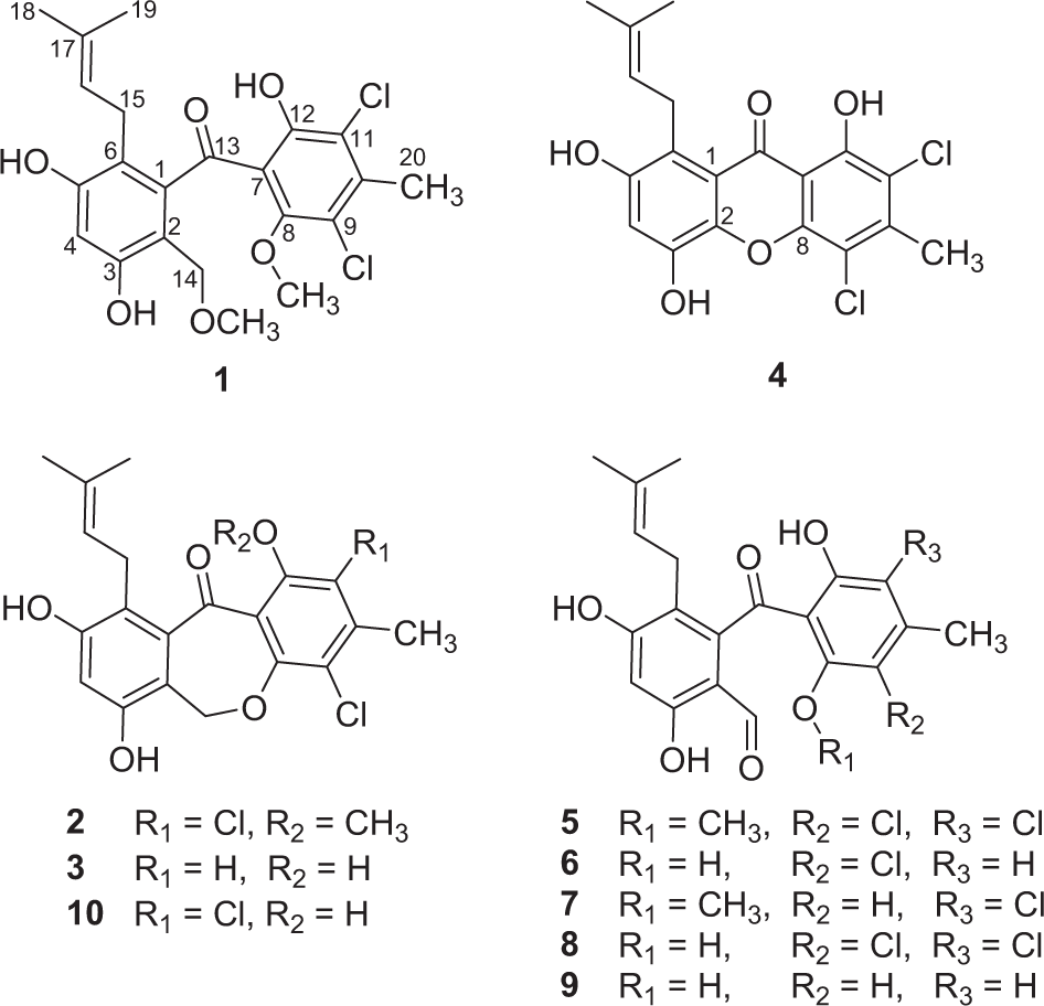 Pestalotinones A–D, new benzophenone antibiotics from endophytic fungus  Pestalotiopsis trachicarpicola SC-J551 | The Journal of Antibiotics