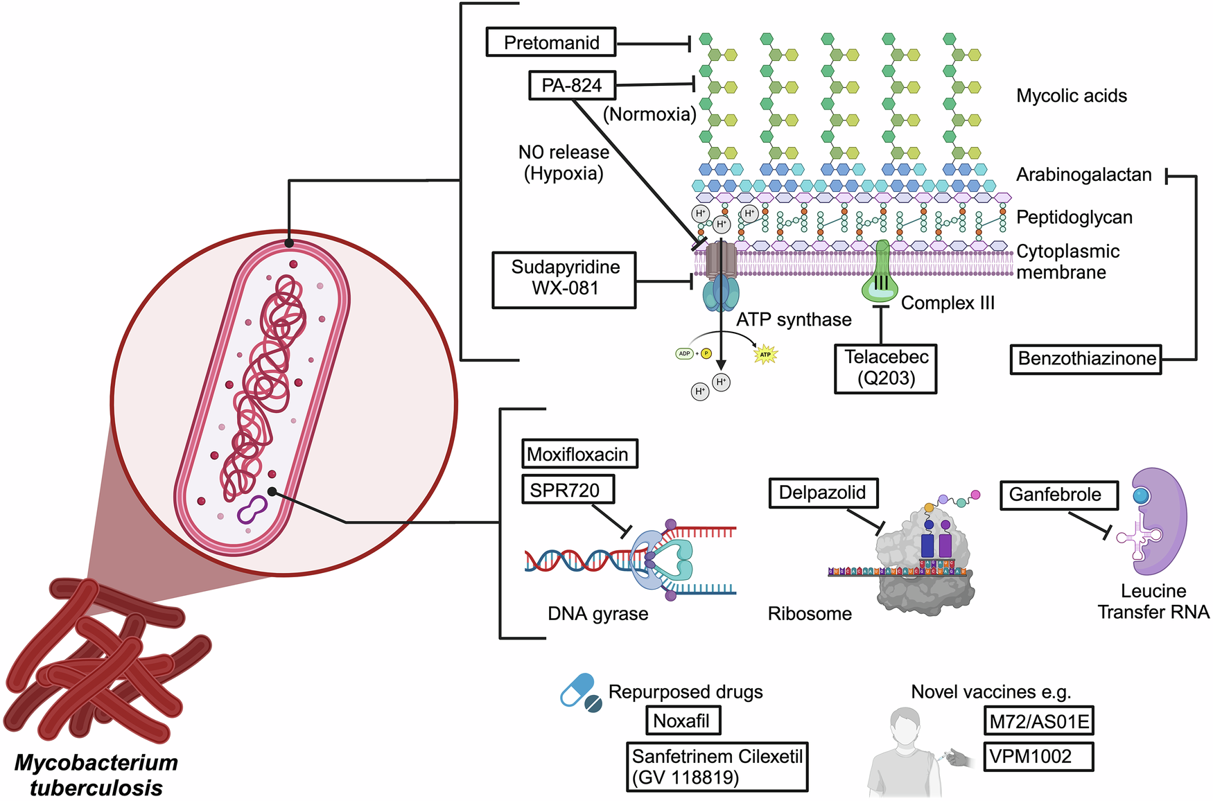 Tuberculosis drug development; fluoroquinolone structural tailoring – Nature