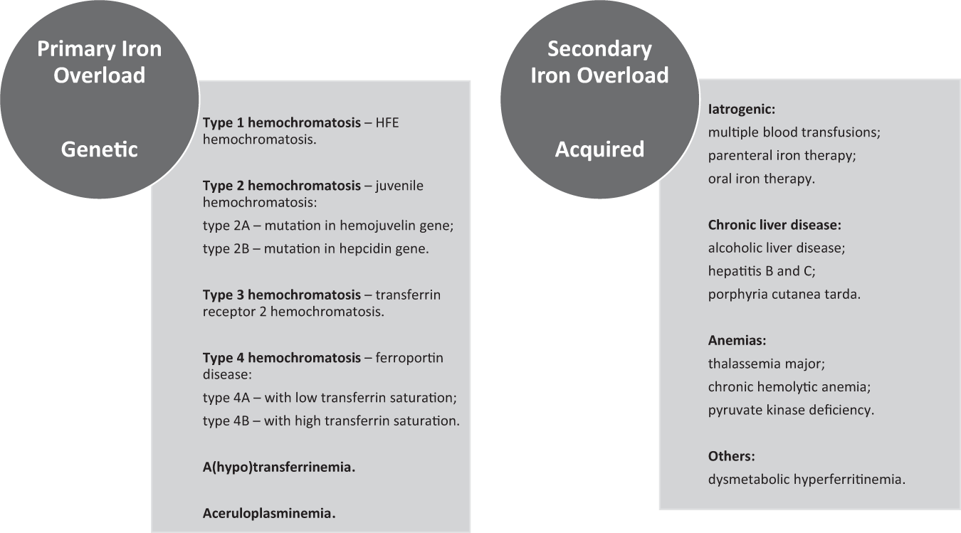 The effect of food and nutrients on iron overload: what do we know so far?  | European Journal of Clinical Nutrition