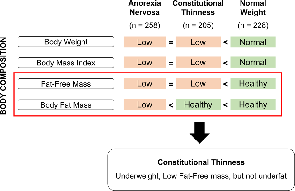 Beyond BMI: Understanding Lean Body Mass for a Healthier You