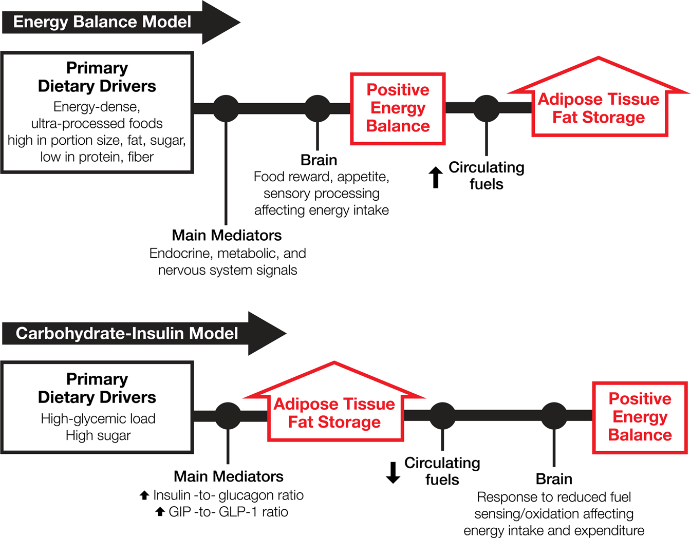 TOOL E3 Measurement and assessment of overweight and obesity