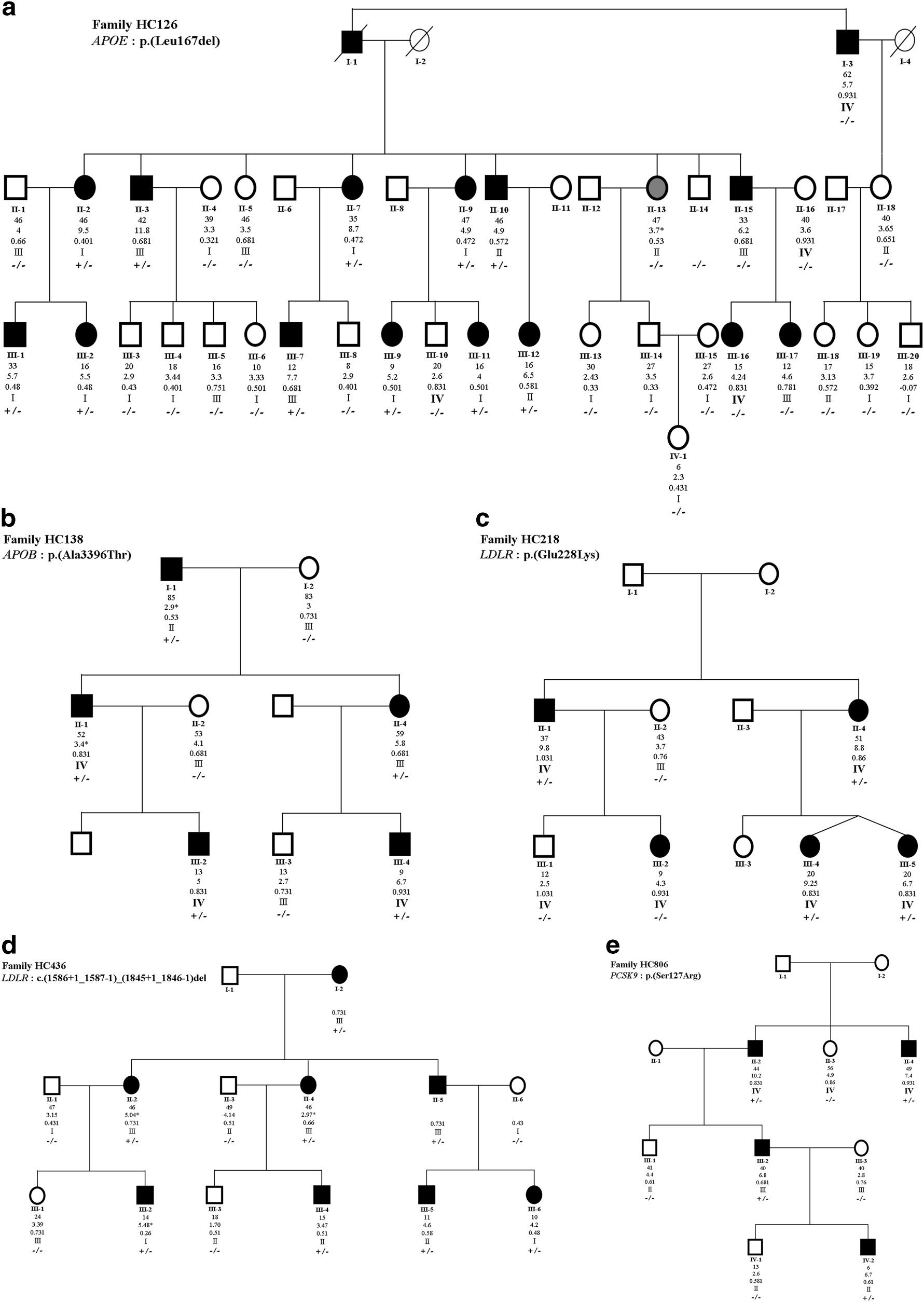 fh mutation definition