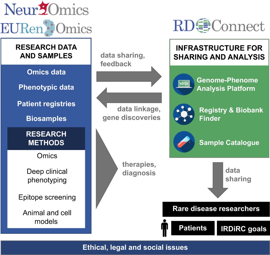 RD-Connect, NeurOmics and EURenOmics: collaborative European initiative for  rare diseases | European Journal of Human Genetics