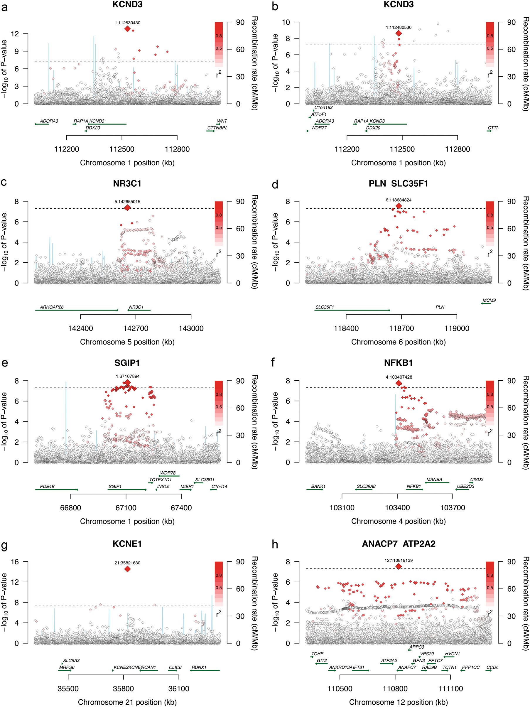 Genome Wide Association Meta Analysis Of 30 000 Samples