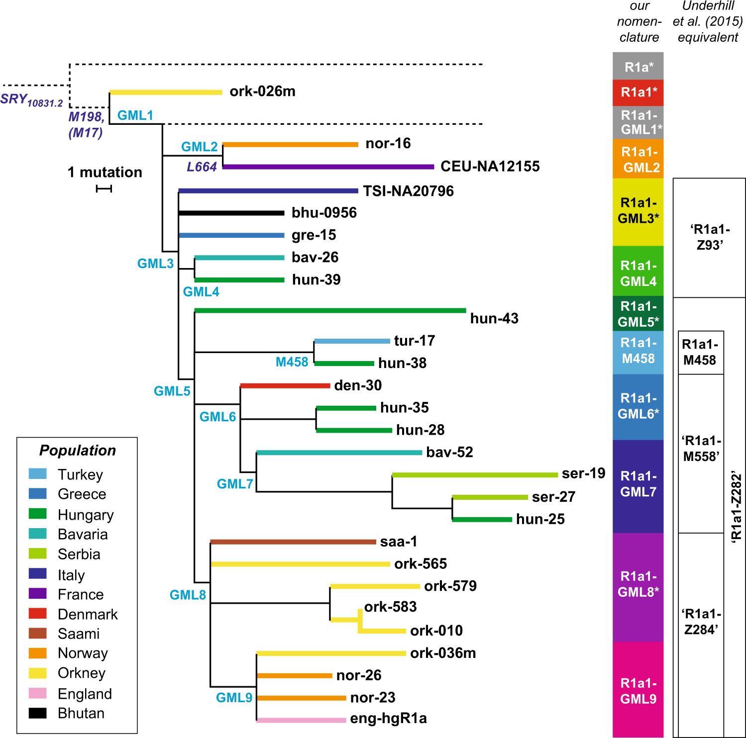 Fig. 2: Subdivision of haplogroup R1a1 based on sequencing data.