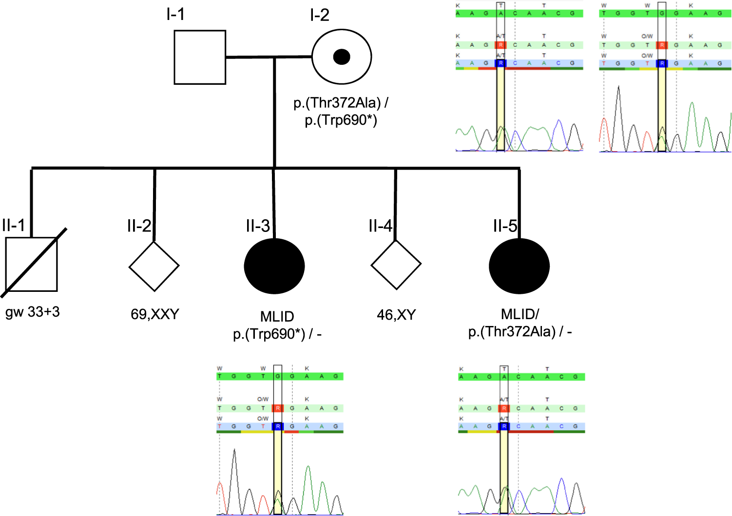 Fig. 2