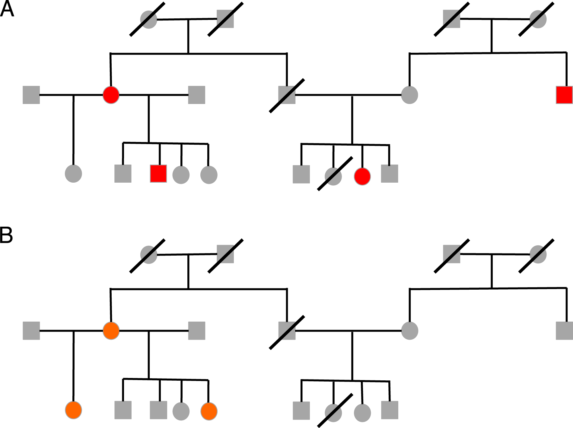 Genotype phasing in pedigrees using whole-genome sequence data | European  Journal of Human Genetics