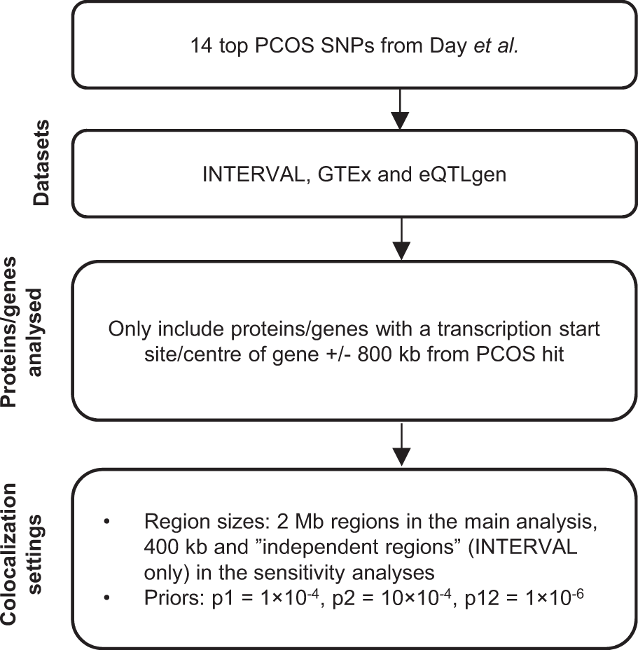 Colocalization analysis of polycystic ovary syndrome to identify potential  disease-mediating genes and proteins | European Journal of Human Genetics