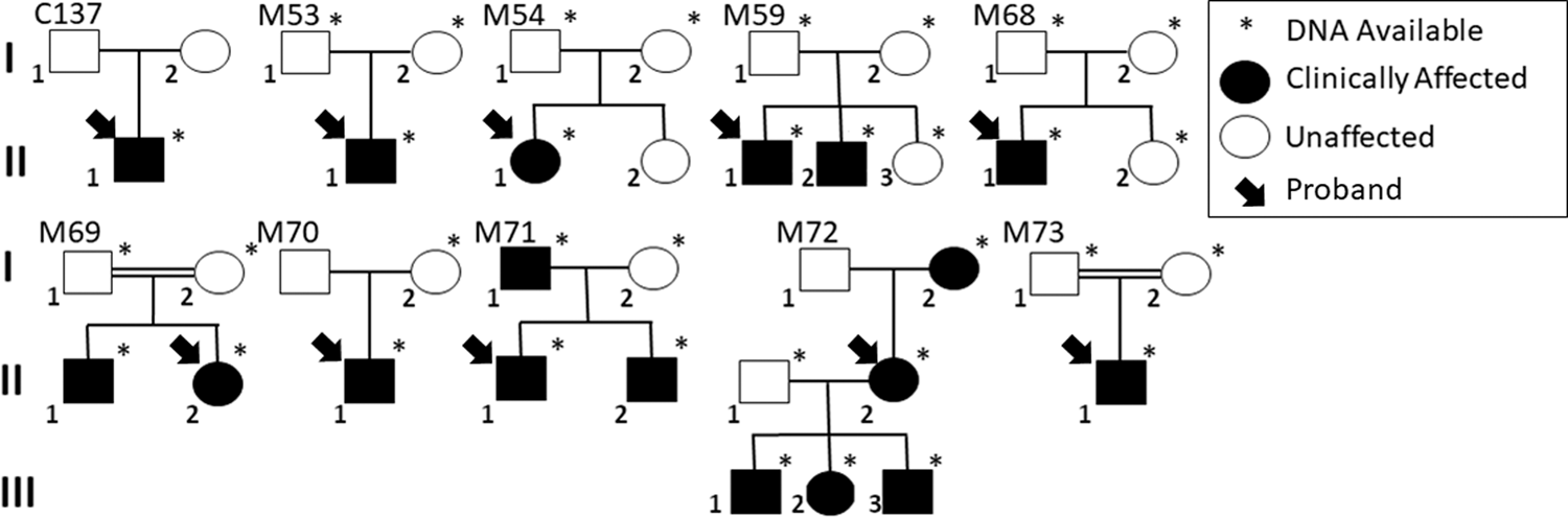 Whole exome sequencing reveals putatively novel associations in  retinopathies and drusen formation | European Journal of Human Genetics