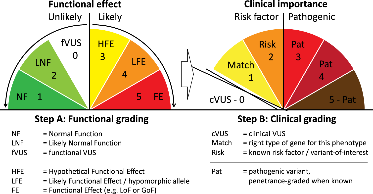 Stepwise ABC system for classification of any type of genetic variant |  European Journal of Human Genetics