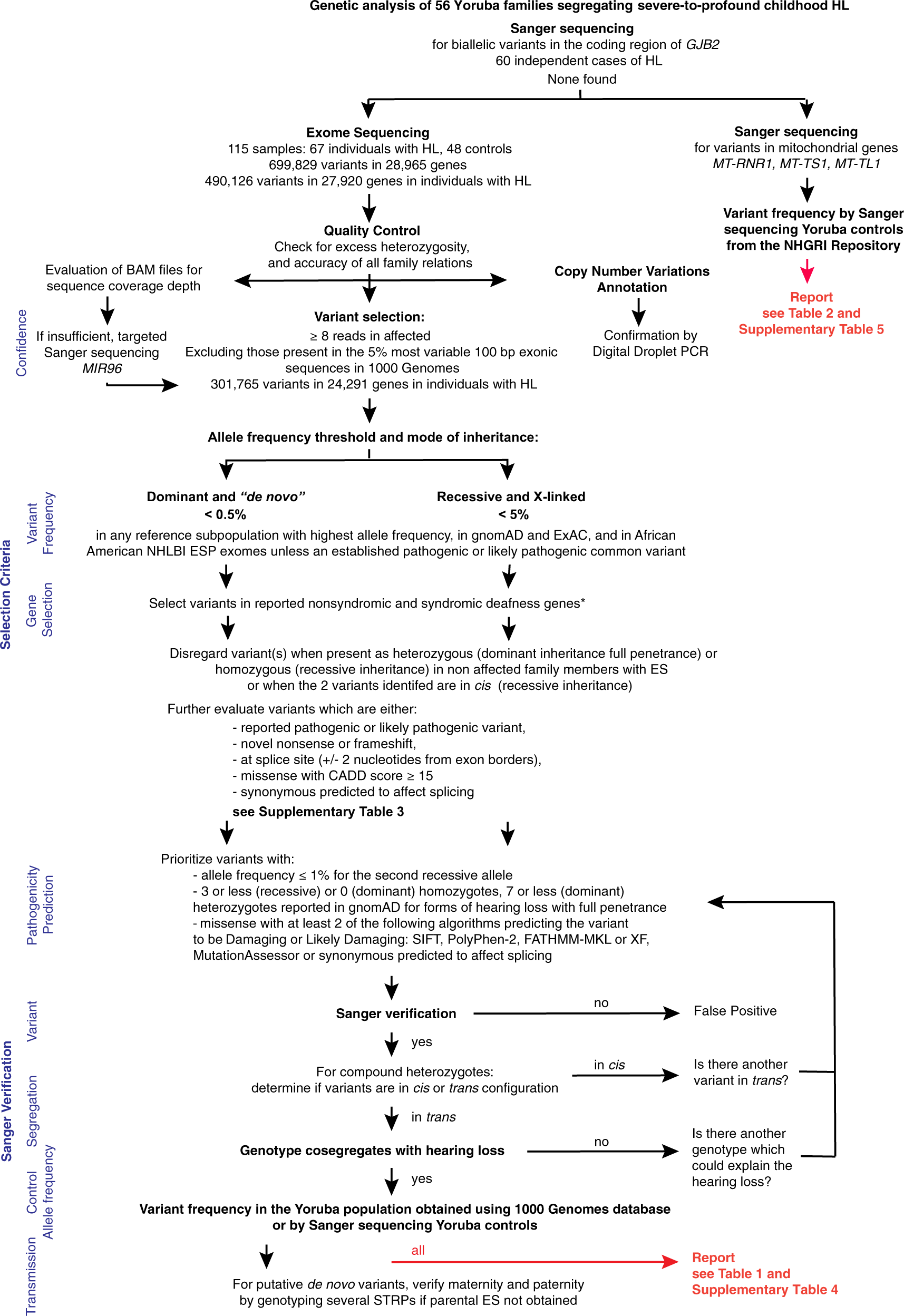 Fig. 1: Experimental and analysis pipeline used to identify potential causative variants in reported genes associated with nonsyndromic and syndromic forms of hearing loss.