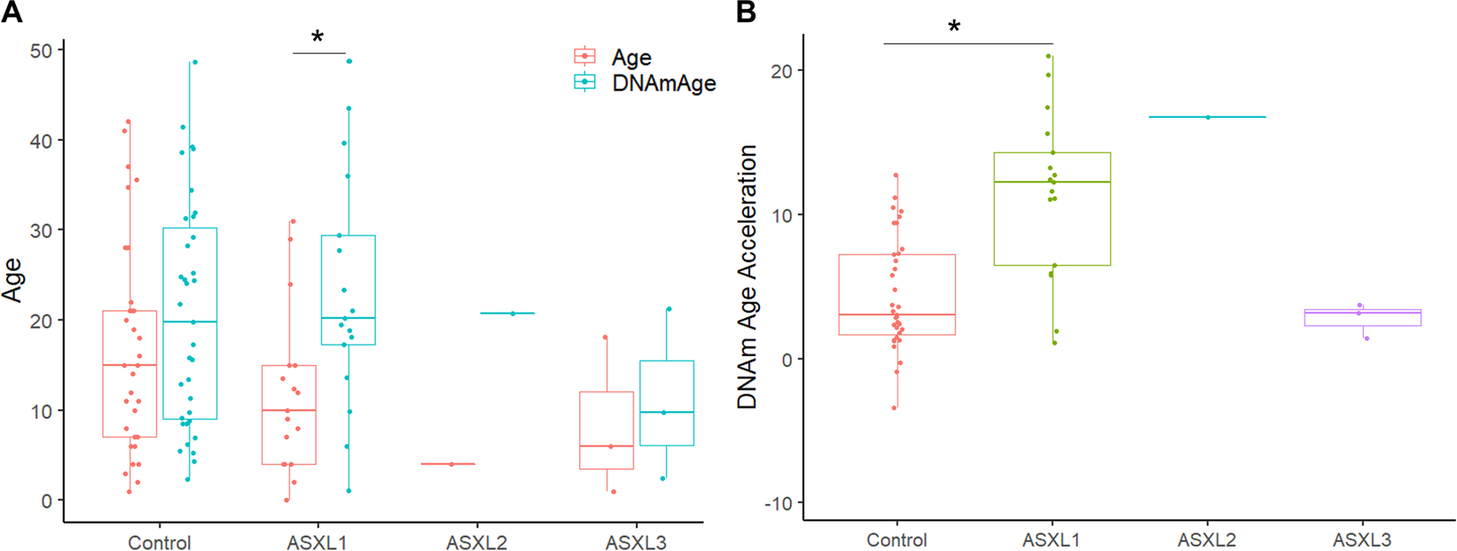 Fig. 2: Individuals with ASXL1 variants exhibit altered epigenetic aging.